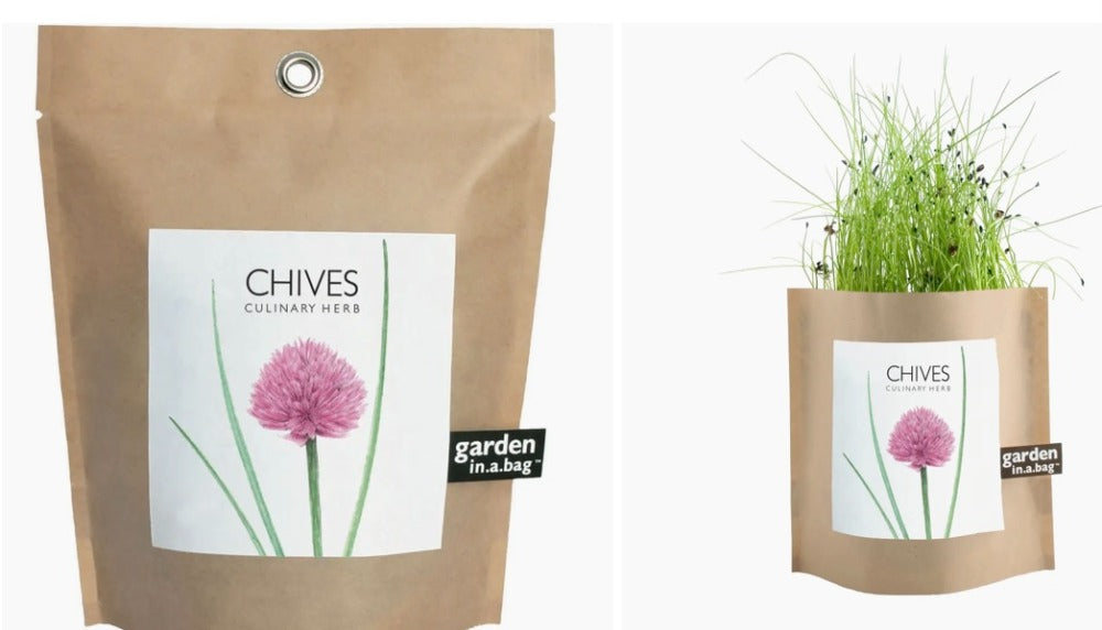 139. Chive Garden in a Bag
