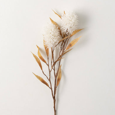 101. Protea Spray