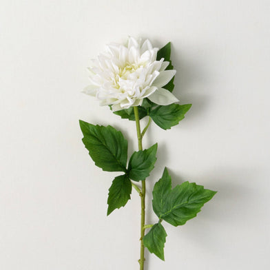 101. Dahlia Bloom