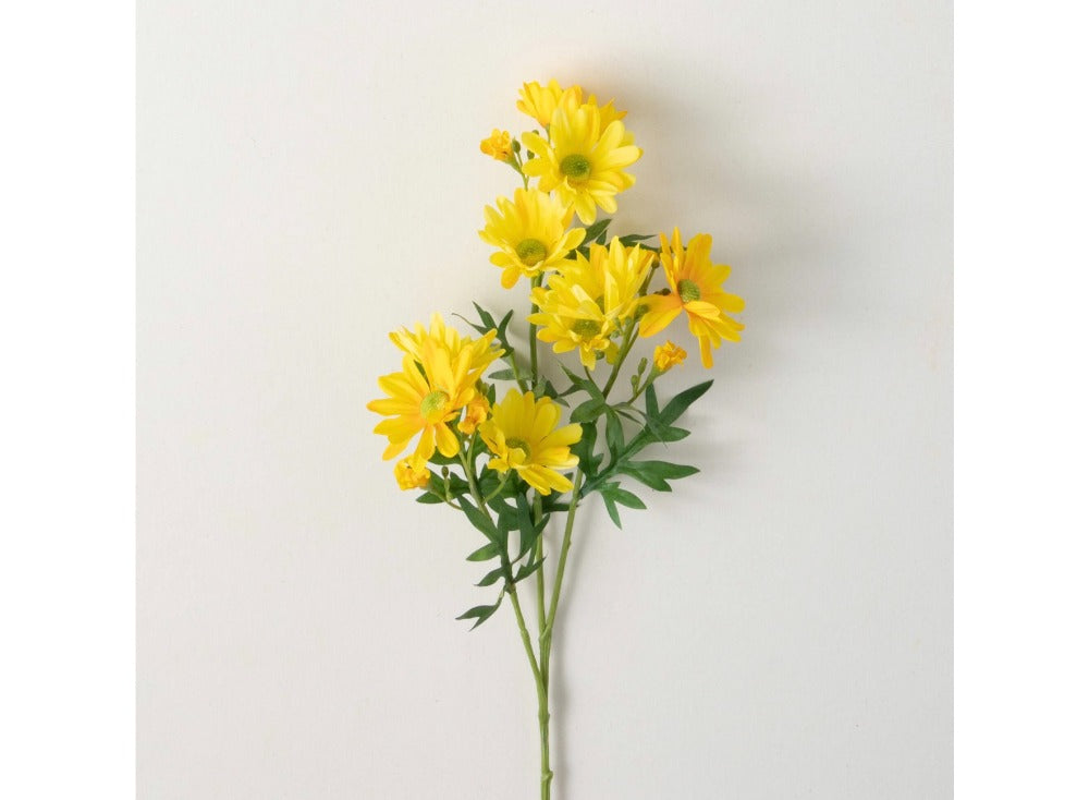 101. Daisy Spray
