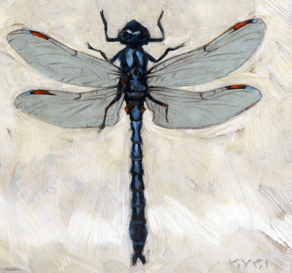 227. Dragonfly