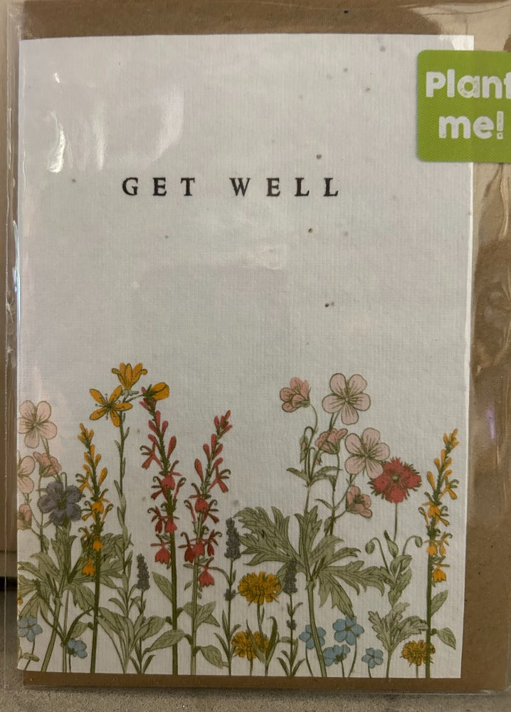 135. Card Get Well Seed Card