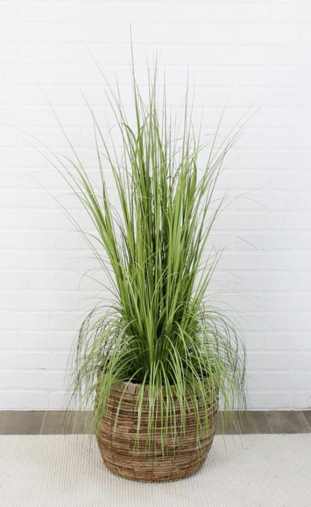 106. Grasses 50"
