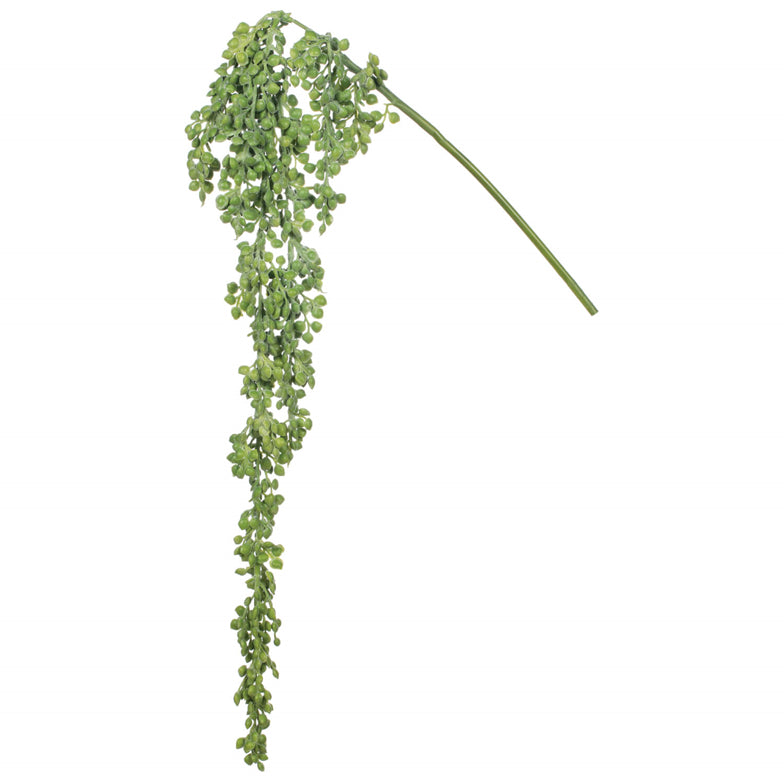 succulents 101 Sullivans Artificial 18 in. Green Hanging Succulent
