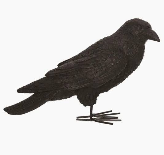 248 Crow