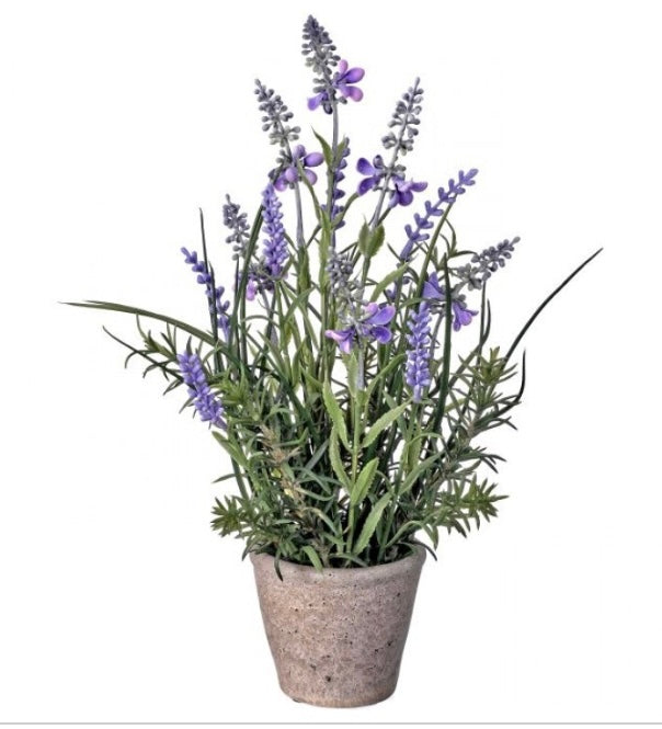 185 Lavender Pot