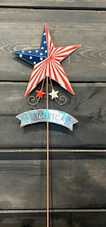 186. Star Yard Stake
