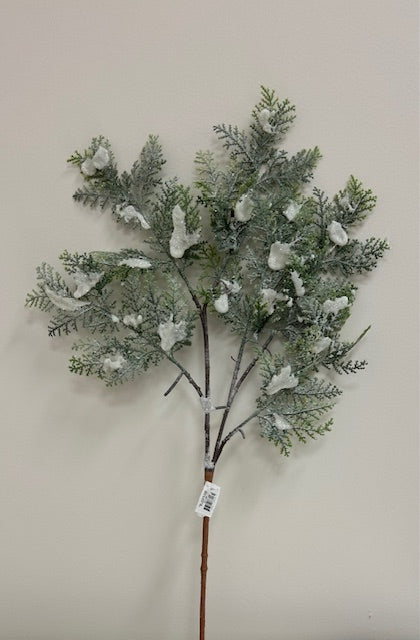 166. Snow Cedar Branch 87448