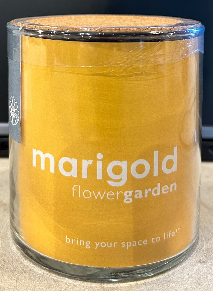 139. Marigold Flower Garden