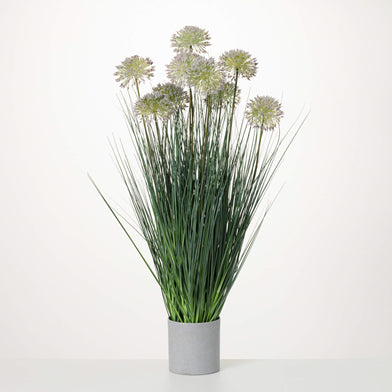 101. Puff Grass