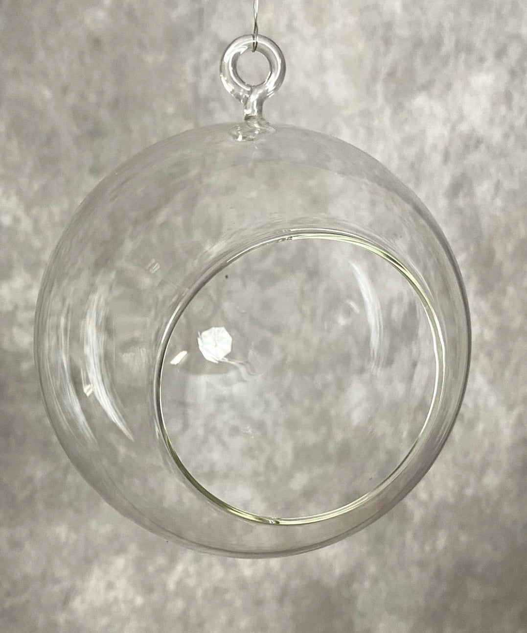 254 Hanging Glass Terrarium round