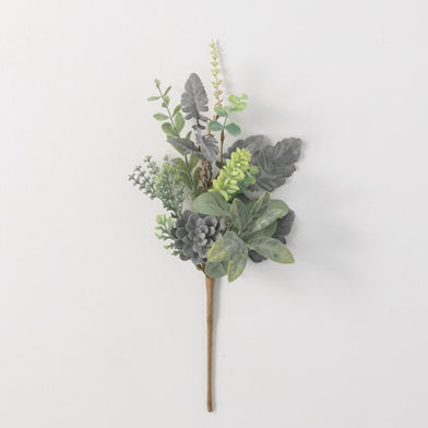 101. Succulent LSPX