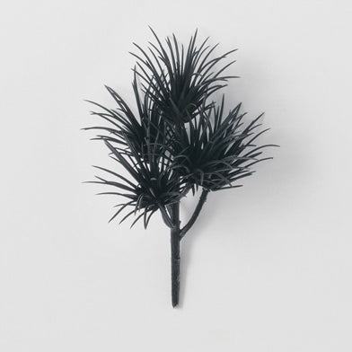 101. Pick Succulent