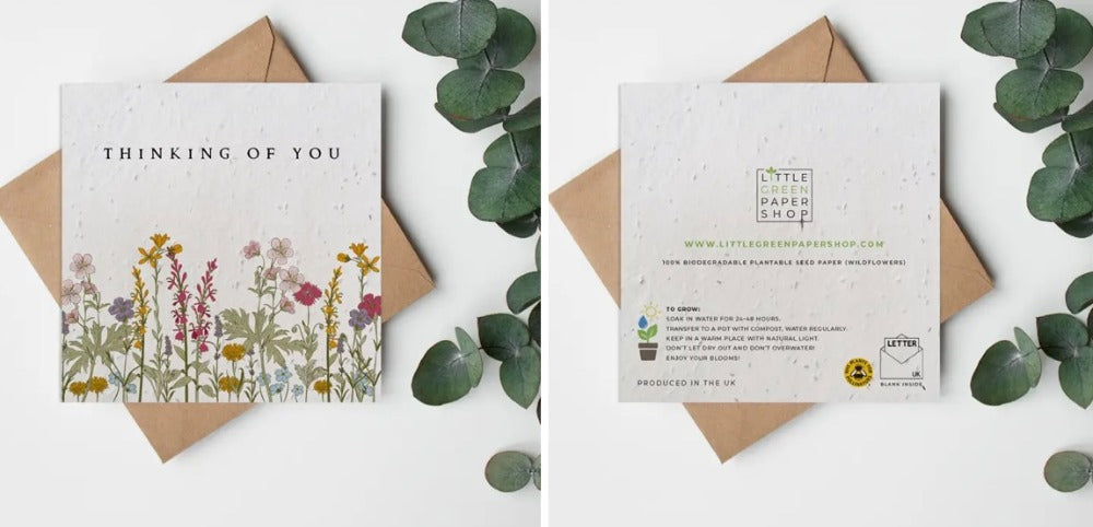 135. Thinking of you seed card lg