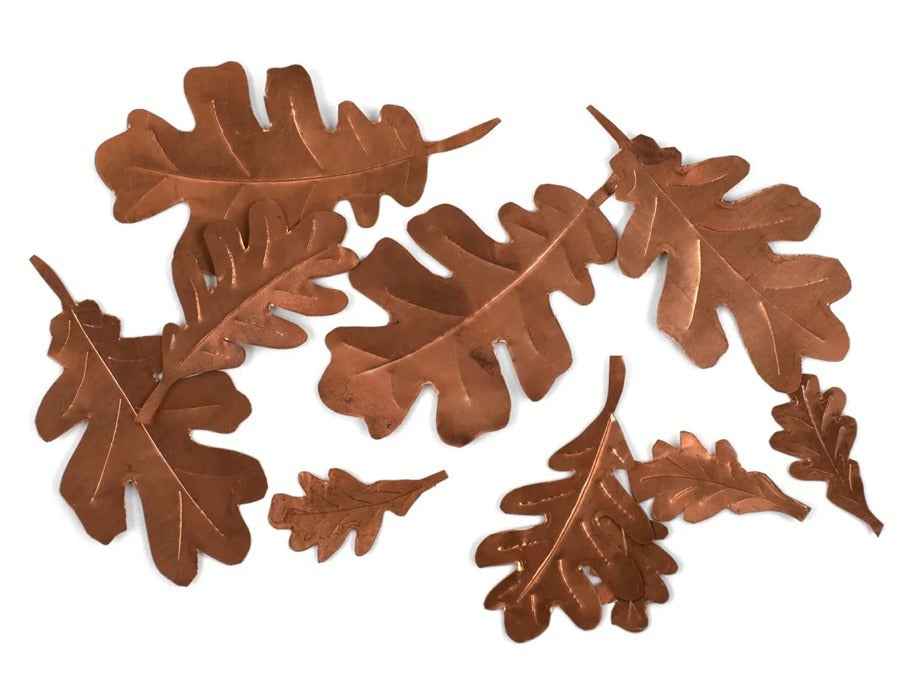 143 Cassini Leaves