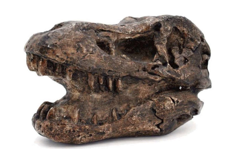 108. Dino Skull Dark