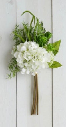 181. Hydrangea Fern Pic