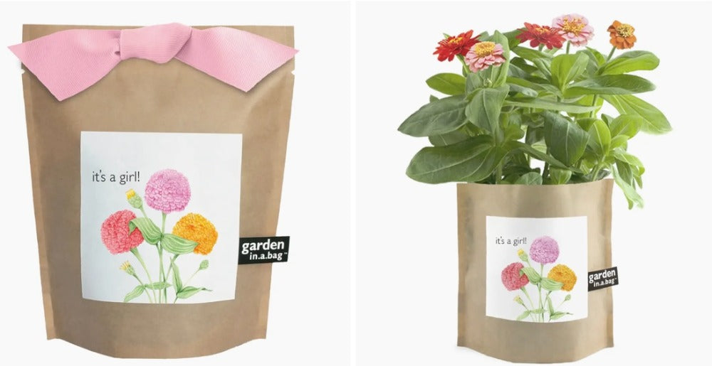 139. It's a Girl Seeds Garden in a Bag
