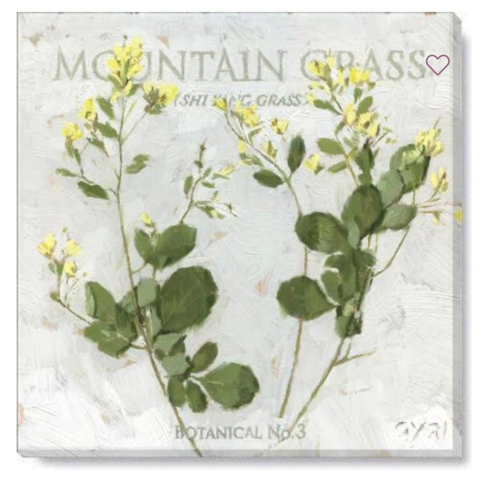 227. Mountain Grass