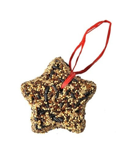 222. Little Star Seed