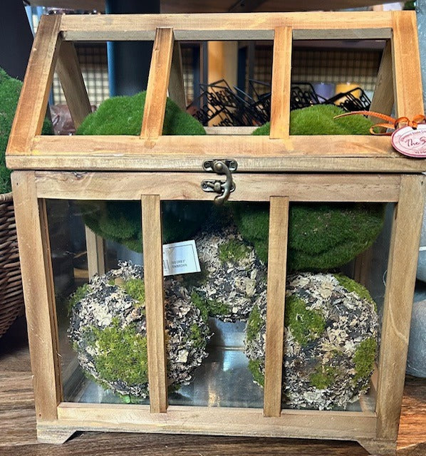 103. Terrarium