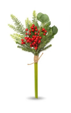 104 Winter Berry Pick