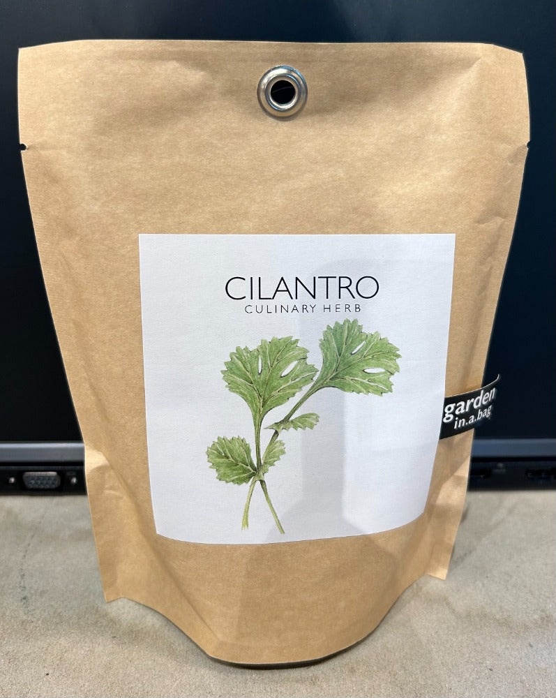 139. Cilantro in a bag