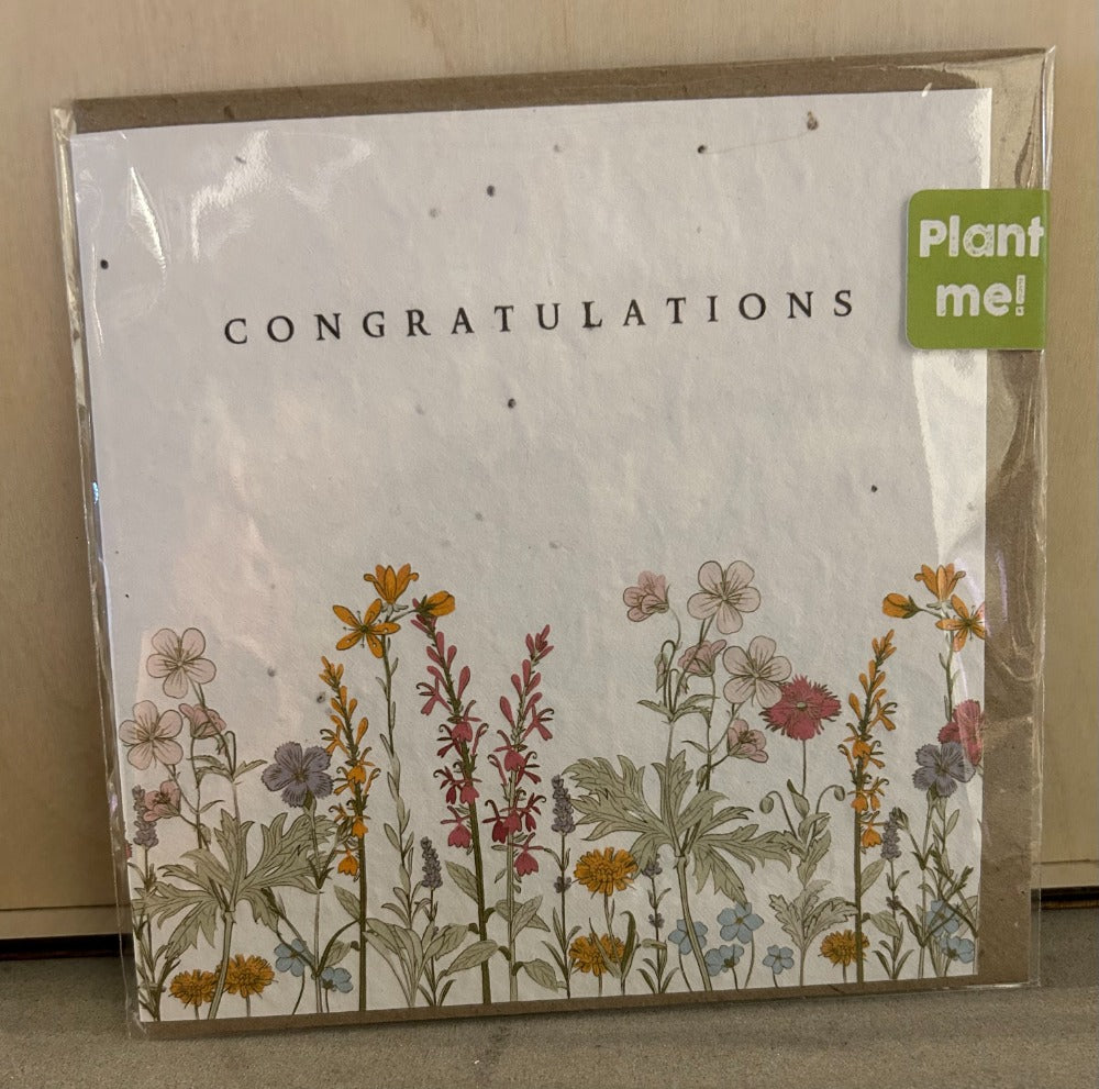 135. Congratulation Seed Card Square