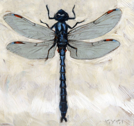 227. Dragonfly