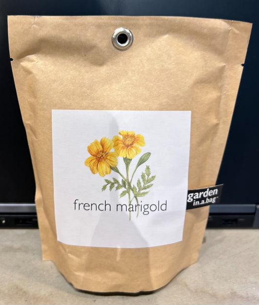 139.  French Marigold in a bag