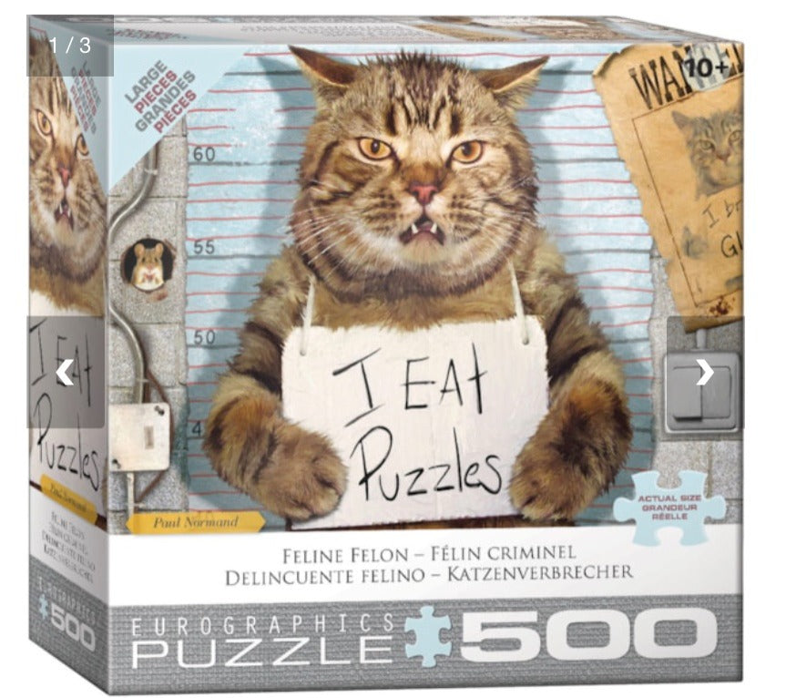 109. Felony Cat Puzzle