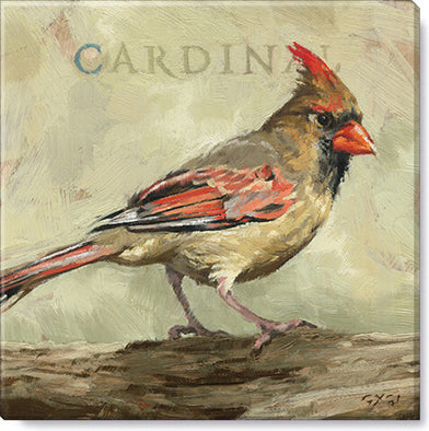 227. Female Cardinal Giclee
