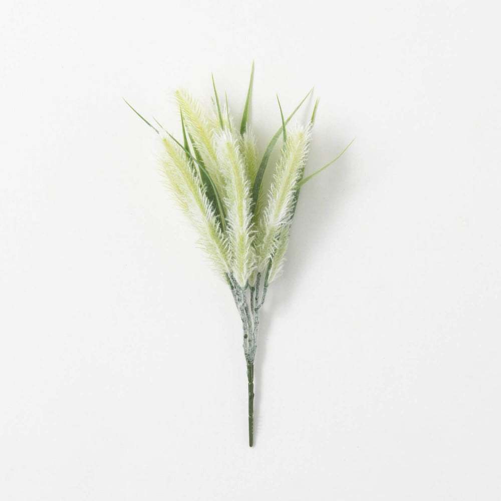 101. Foxtail Grass