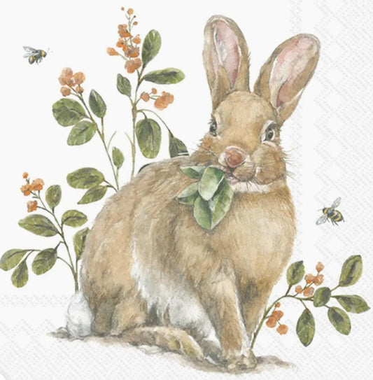 182  Garden Bunny Cocktail Napkins