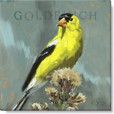 227. Goldfinch Giclee 5 x 5