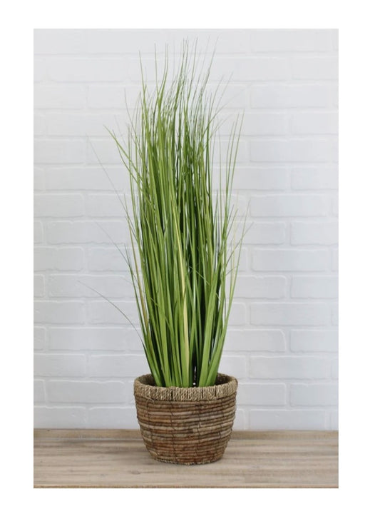 106. Grasses 74"