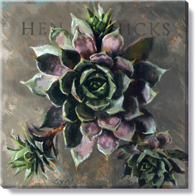 227. Hens And Chicks Glicee 5 x 5