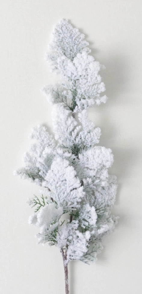 101  Snow Cedar Spray  26.5