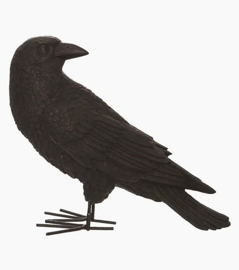 248  Crow - right facing