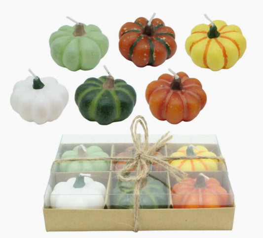 248  Wax Pumpkin Candles in Box S/6