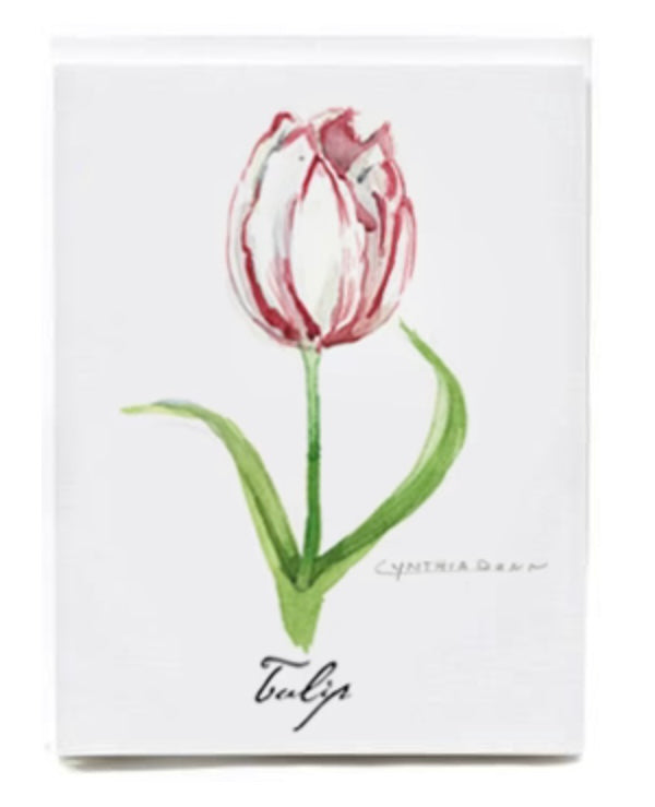 159  Tulip Note Card