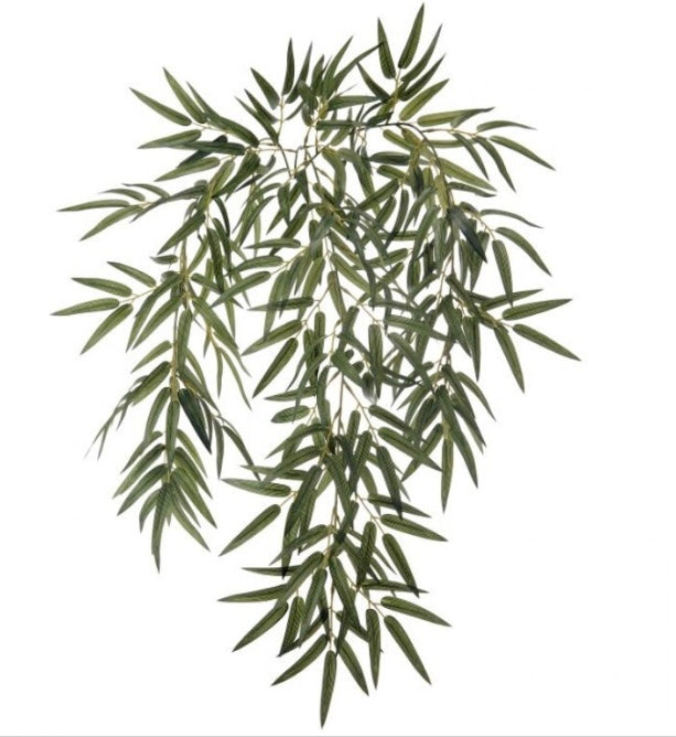 185  Hanging Bamboo Leaf Plant