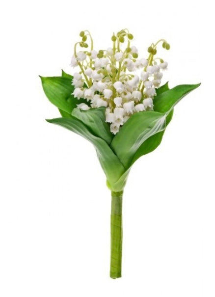 185  Lily of the Valley
