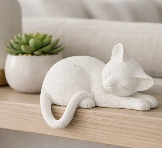 157  Sleeping Kitty