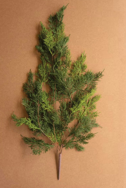 122  Cedar Spray
