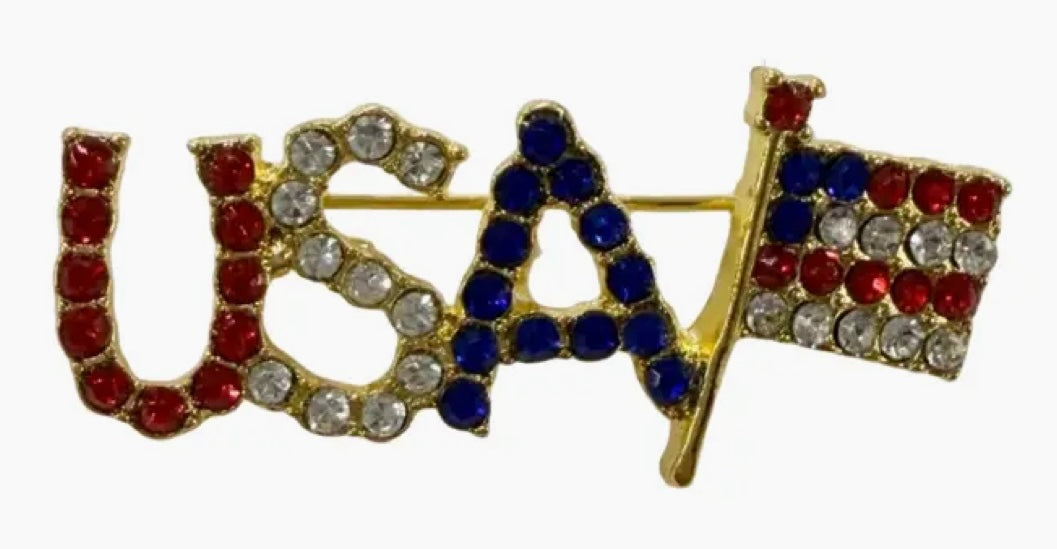 253  USA Flag Pin