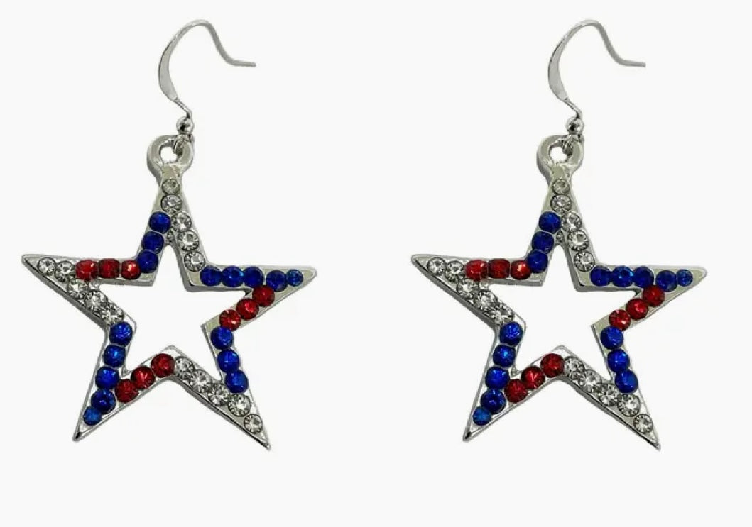 253  Star Earrings