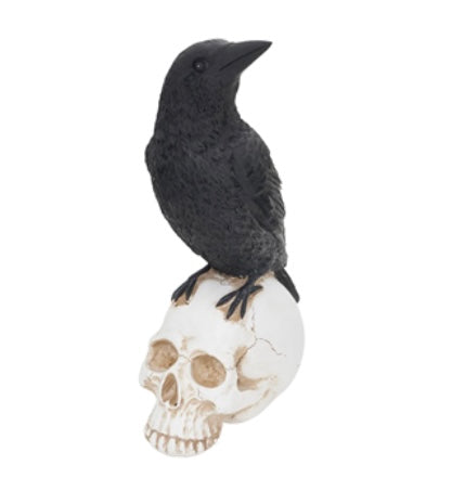 174  Raven on Skull