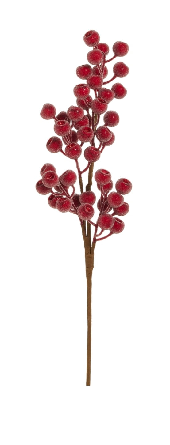 149  Sugar Berry Spray Red