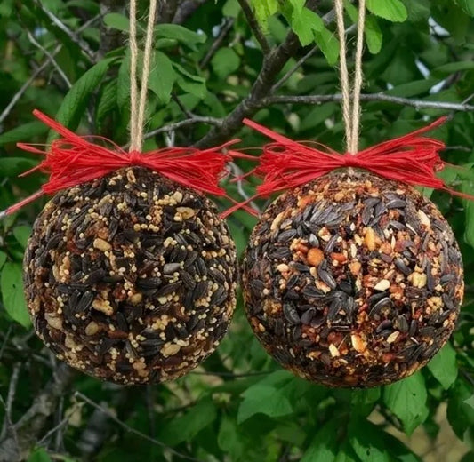 222 Seed and Nut Ornament